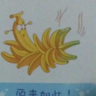 香蕉🍌为什么没有籽