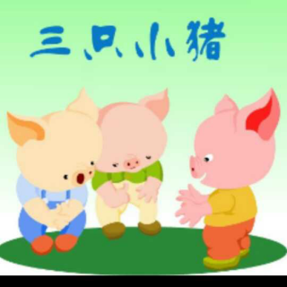 三只🐷