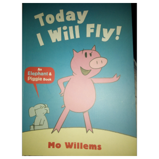 I  will   fly one