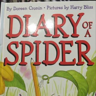 diary of a spider