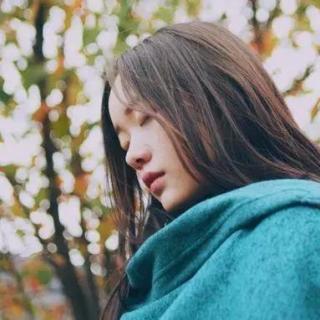 【树洞】在晴日里来看你