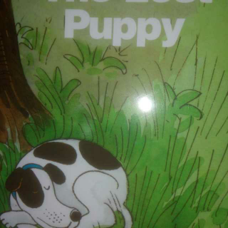 2-8 The Lost Puppy