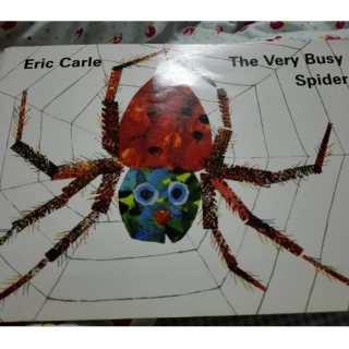 The very busy spider