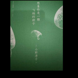 小野洋子-天空篇（Ⅱ-Ⅹ）