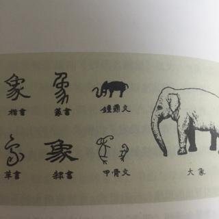 汉字演变之四 象形