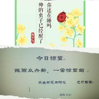 惊蛰，微雨众卉新，一雷惊蜇始(节气之音乐小品)