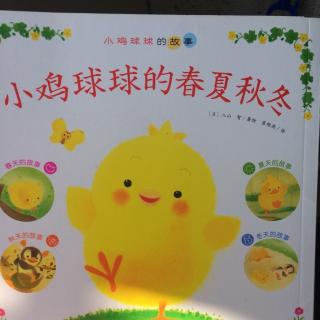 《小鸡🐤球球春天的故事》