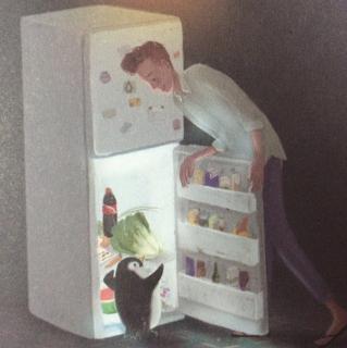 冰箱里的企鹅——陈谌