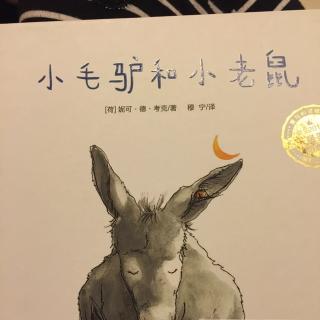 小毛驴和小老鼠