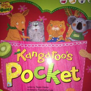 Kangaroo's pocket