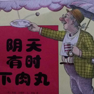 阴天有时下肉丸