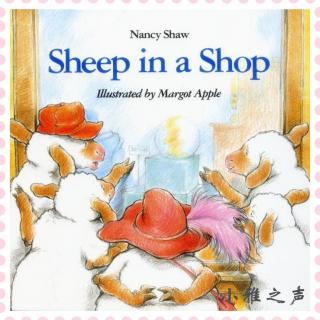 小雅读绘本 | vol.9 Sheep in a Shop