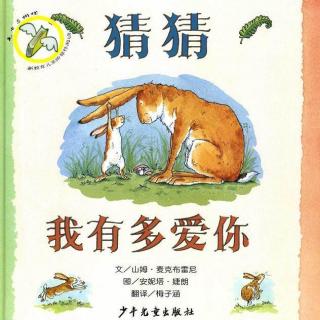 猜猜我有多爱你 — 故事妈妈李颖为你读 · 第488期