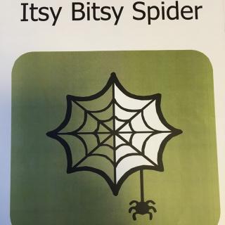 The Itsy Bitsy Spider