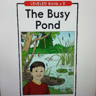 杨杨读Razkids Level D：The Busy Pond