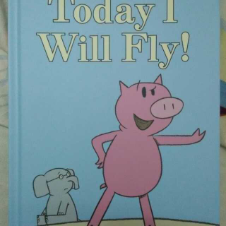 Today I Will Fly