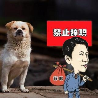 大咖笑料  盘点那些既任性又奇葩的辞职信