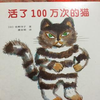 仔仔妈妈讲故事《活了100万次的猫》