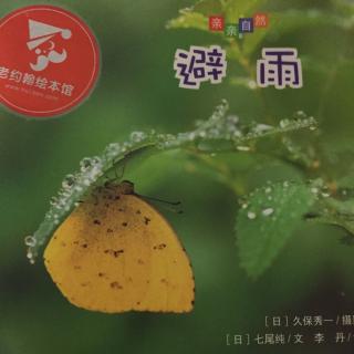 仔仔妈妈讲故事《避雨》