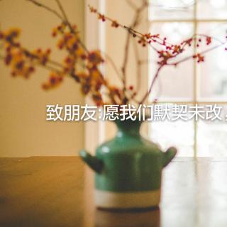 Vol 23 致朋友：愿我们默契未改，不变初衷