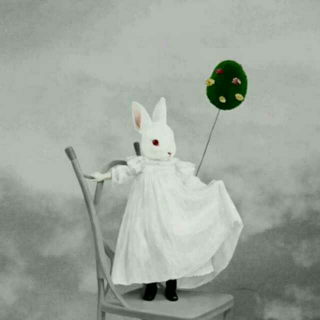 爱丽丝要变兔子（下）