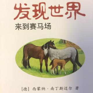 No.86《带你去认识赛马场🏇》（中文）