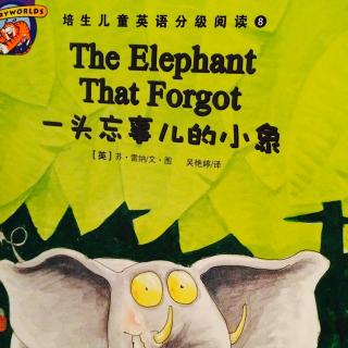 The Elephant That Forgot （一头忘事儿的小象）