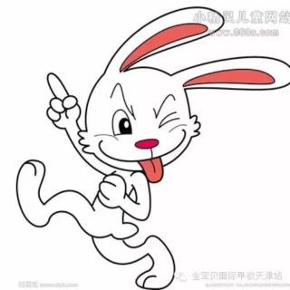 说话结巴的跳跳兔🐰