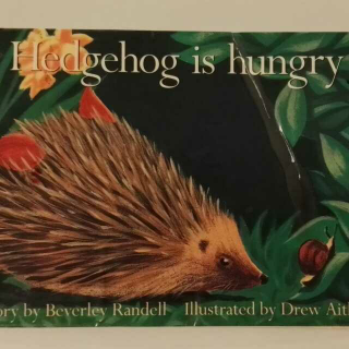 Hedgehog is hungry