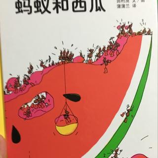 绘本故事19: 蚂蚁和西瓜