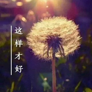 这样才好