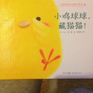 小鸡🐔球球，藏猫猫！