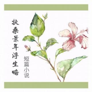 扶桑景年浮生略（下集）完结