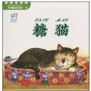 《糖猫 》主播：姗姗姐姐