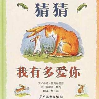 《猜猜我有多爱你》