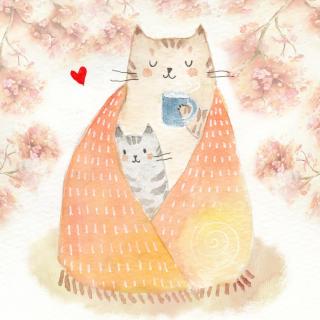 小猫Miu Miu的毯子