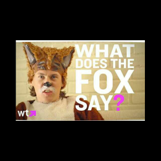 The fox（嗨皮的节奏 3岁+）好多动物怎么叫，狐狸怎么叫?