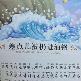 木偶奇遇记之十六《差点儿被扔进油锅》