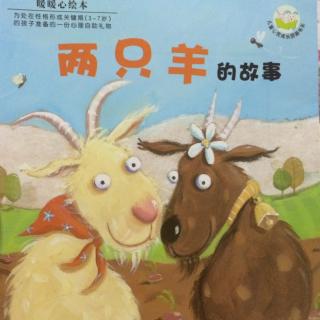 暖暖心绘本《两只羊的故事》
