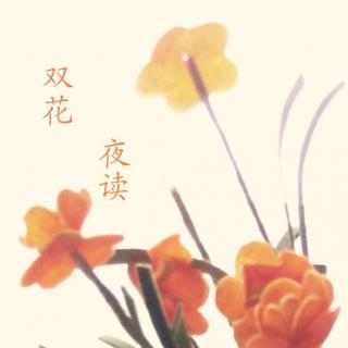 双花夜读05-追星二三事