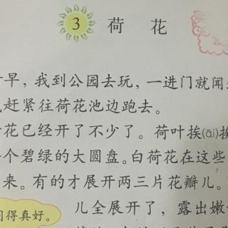 龙生 碧莲 静雯 静宜图片