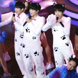 TFBOYS《波斯猫》