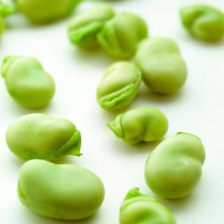 春季不能错过的五种豆，健脑清肠抗菌