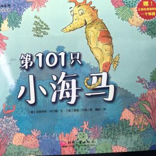 第101只小海马