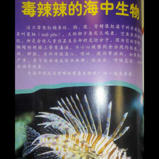 小牛顿科学馆-毒辣辣的海中生物