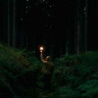 孤独如穿越密林，是我们自己亮起了火焰