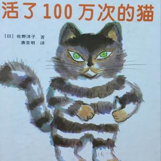 活了100万次的猫