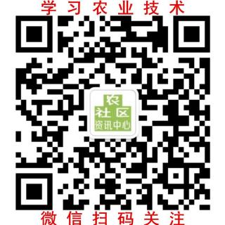 陈庆峰老师《水稻苗床知识》分享农社区服务中心顾问团