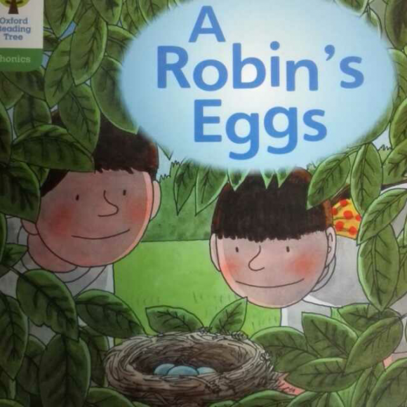 a robins eggs p2-12