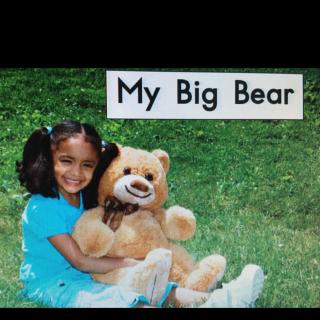 My big bear